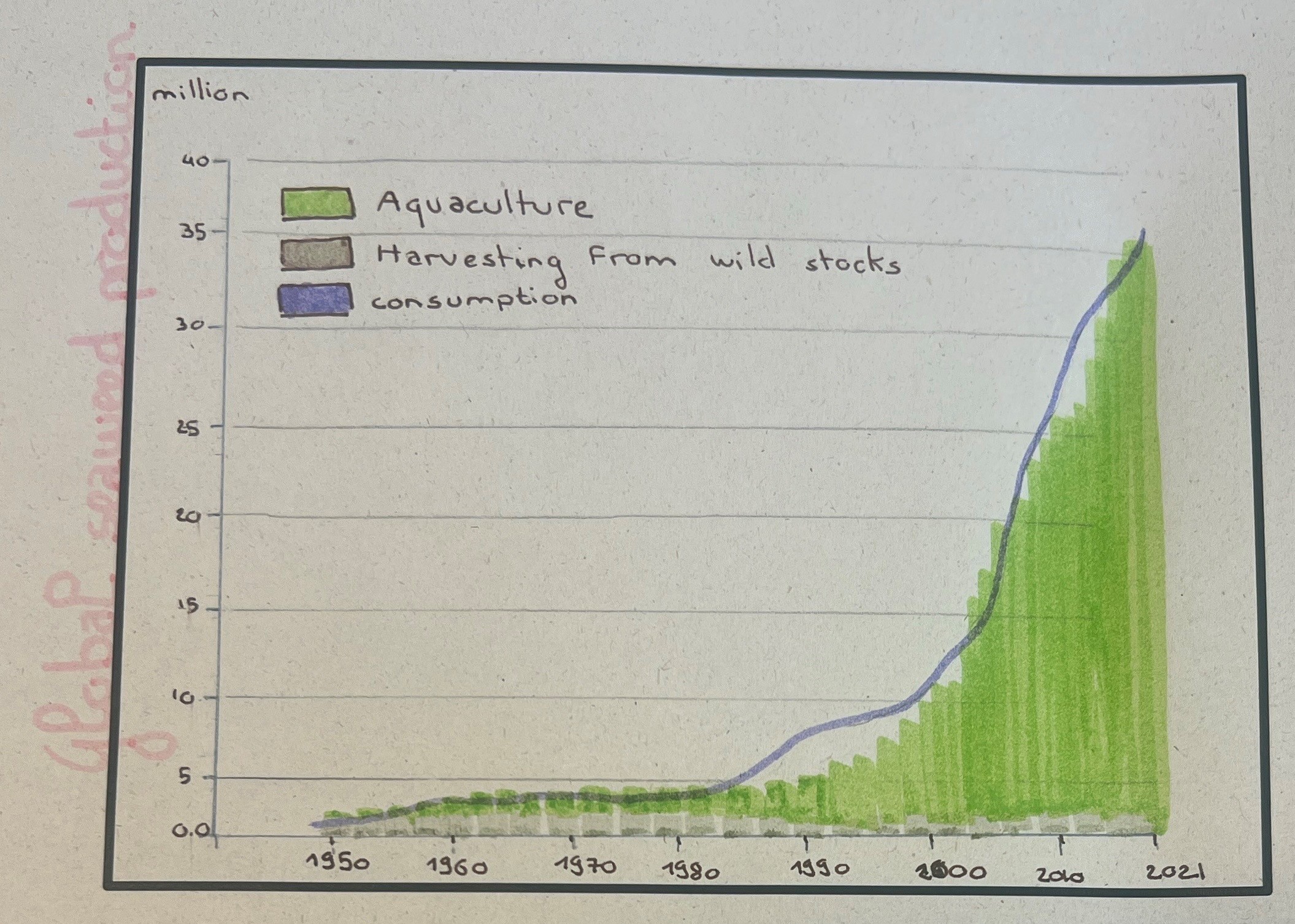 Seaweed production and consumption graph